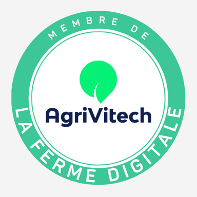 logo-dtj
